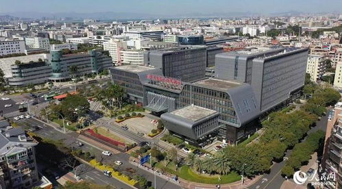 搭建平臺(tái) 編制目錄 廈門持續(xù)優(yōu)化政策促進(jìn)軟件產(chǎn)業(yè)高質(zhì)量發(fā)展