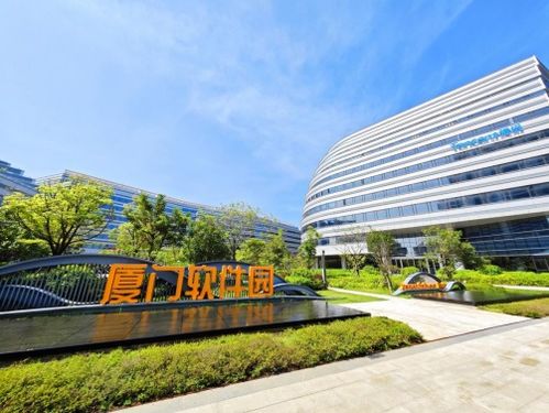 廈門(mén)思明 打造人工智能生態(tài)圈 為新質(zhì)生產(chǎn)力蓄勢(shì)賦能